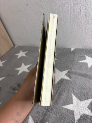 PREMIO EDEBÉ 2015: Mentira (Spanish Edition)