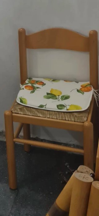 Silla de madera con cojín estampado
