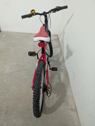 Bicicleta Infantil Conor 20