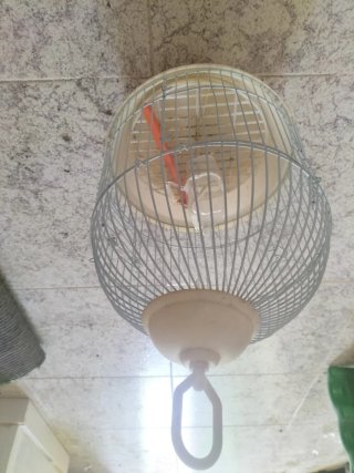 Jaula para pájaros