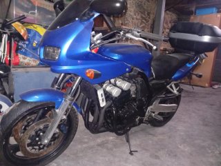 Yamaha FZS600 Facer