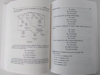 Libro "Problemas Resueltos Inteligencia Artificial