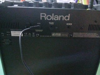 Amplificador Roland CUBE-10GX