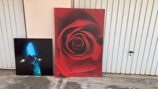 Lámina buceador y cuadro rosa
