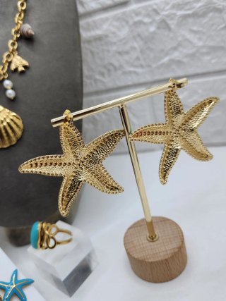 Conjunto Acero Quirúrgico Chapado Oro