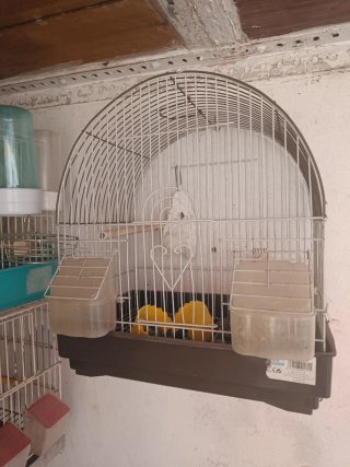 Conjunto de jaulas para pájaros