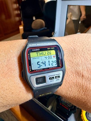 Casio BP-120 (1993)