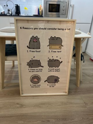 3 Posters Pusheen A3
