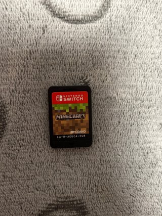 Minecraft Nintendo Switch