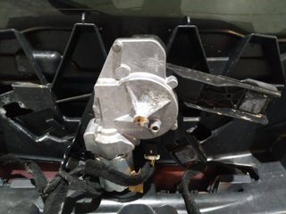 PORTON TRASERO PEUGEOT 308