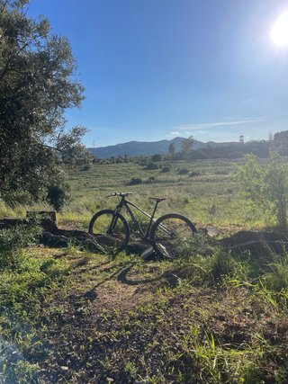 Mondraker Chrono 29 2019