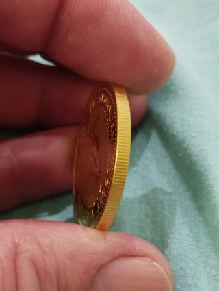 Moneda Oro 1 oz 1999