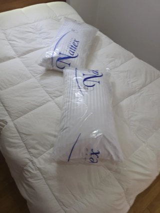 Juego 2 Almohadas Nattex 70cm