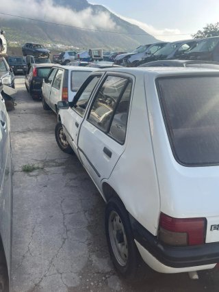 Despiece Peugeot 205 1.1 gasolina