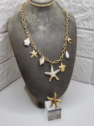 Conjunto Acero Quirúrgico Chapado Oro