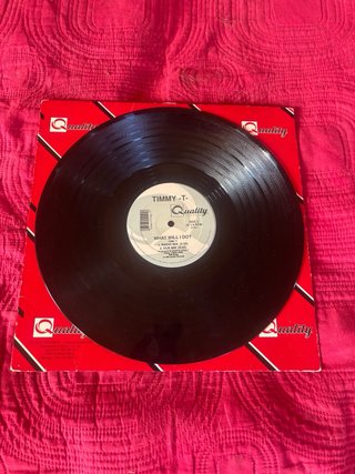 Vinilo T-Timmy What Will I Do?