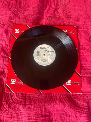 Vinilo T-Timmy What Will I Do?
