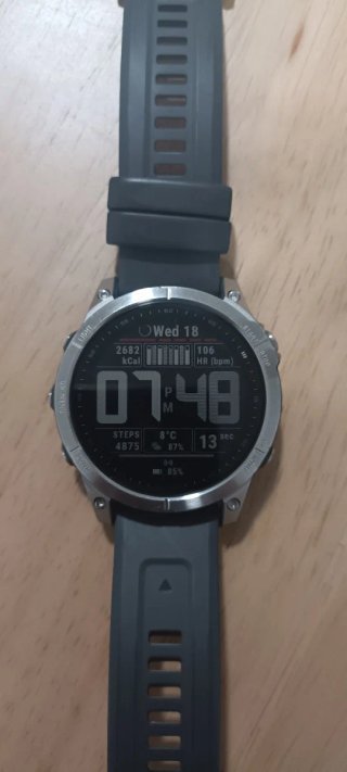 Reloj Garmin Fenix 7 Gris/Plata