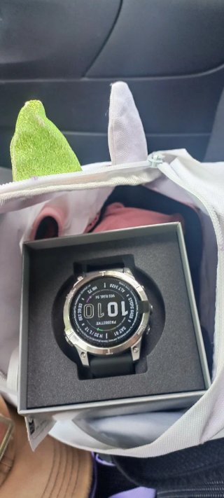 Reloj Garmin Fenix 7 Gris/Plata