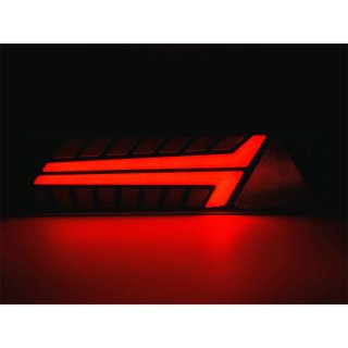 Piloto Trasero LED Ryme Automotive Leer