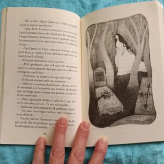 Novel-la en valenciano Dràcula