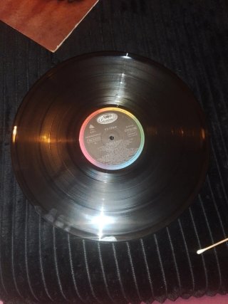 Vinilo Poison Flesh & Blood