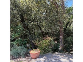 Terreno en venta en Sant Pere de Vilamajor