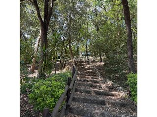 Terreno en venta en Sant Pere de Vilamajor
