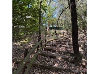 Terreno en venta en Sant Pere de Vilamajor