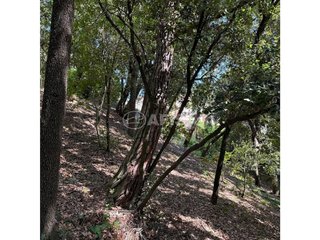 Terreno en venta en Sant Pere de Vilamajor