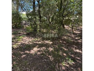 Terreno en venta en Sant Pere de Vilamajor