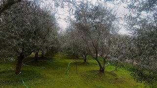 Chalet en venta en Fuensanta- Arcángel en Córdoba