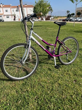 Bicicleta Coluer Morada y Plateada