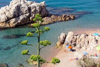 Piso en venta en Calella