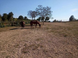 Casa rural en venta en Monserrat