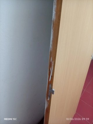 Puertas madera pintadas en blanco. 2,03x0,81 cm.