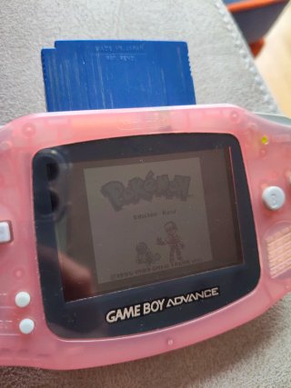 Juegos Pokémon Edición Oro y Edición Azul