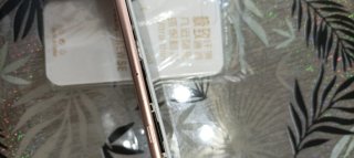 iPhone 7 Rose Gold Leggi note