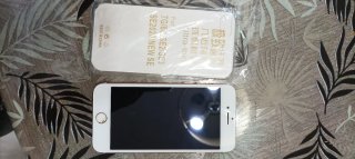 iPhone 7 Rose Gold Leggi note