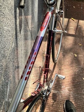 VITUS 992 OVOID