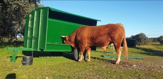 Comedero para animales verde