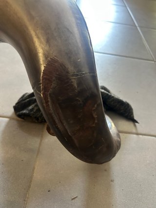 Bufanda y Silenciador GYTR para Moto