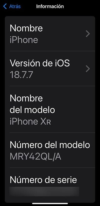 iPhone XR Negro 64GB (A2105)