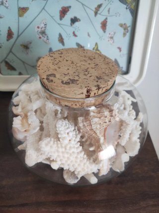 Jarrón decorativo con corales y conchas