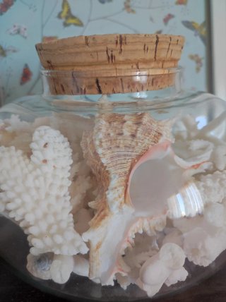 Jarrón decorativo con corales y conchas