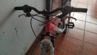 Bici MTB 24 Monty