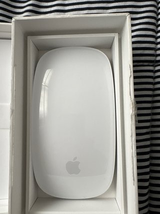 Apple Magic Mouse Blanca