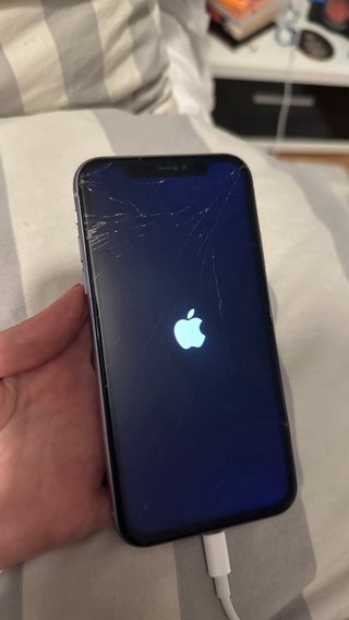 iPhone 11 Lila