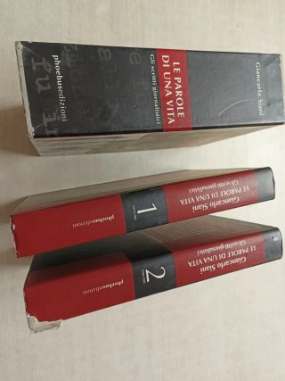Le parole di una vita. Gli scritti giornalistici