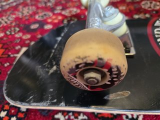 Skate profesional Element